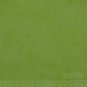 0655 Yellow-Green Half Yard