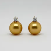 18K South Sea "Golden" Pearl Diamond Accent Omega Back Earrings