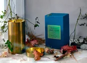Bellocq Candle, No 45 White Wolf — AVION Clothier