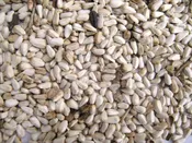 25 Pounds Safflower Seed Wild Bird Food - Model 19659