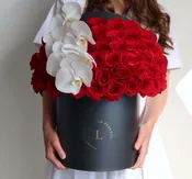 Classic Red - 50 roses in a box