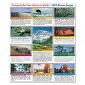 1999 Passport Stamp Set