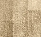 BV0007