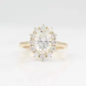 The Allie Ring (Oval) in Yellow Gold with 2ct Moissanite