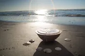 Sand Dollar Urn
