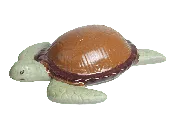 Contemporary Sea Turtle