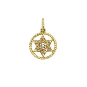 14k 0.05cttw Yellow Gold Star of David Round Rope Pendant