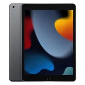 iPad (9th Gen)(Wi-Fi+Cell)