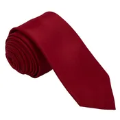 Apple Men’s Skinny Necktie Self-Tie