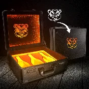LED Mirrored Custom Briefcase