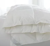 Bergen Down-Free Comforter