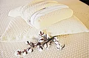 Ergovea: Organic Pillows