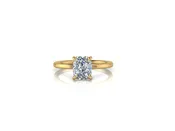 Beauty Hidden Halo Diamond Engagement Ring (2.08cttw.)