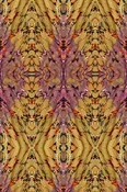 ex libris wallpaper