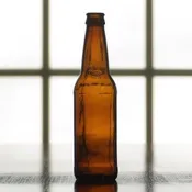 12 OZ BEER BOTTLES (CASE/24)