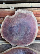 Australian Western Red Box 12/4 Burl - 31" x 28" x 3 1/4" [E203]