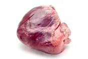 Beef Heart