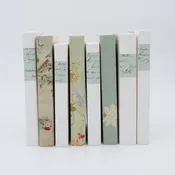 Decorative Book Set