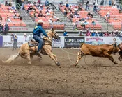 Jade Corkill NFR Saddle Pad