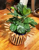 Hydro-bucket planter