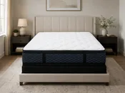 Chiro Indulgence Pillow Top Mattress - Sleeptronic®