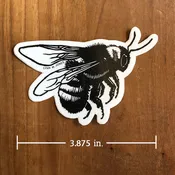 Bee STICKER — lynn-oleum