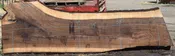 36292 Highly Figured Bastogne Walnut Slab 170"x51"-37"x3 1/2" May 2025