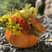 Pumpkin Power