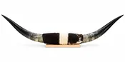 Authentic USA Made Mounted Steer Horns (37.5" Span)