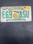 06 FL Green Letters License Plate