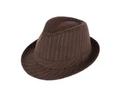 Aiken Wool Fedora Hat