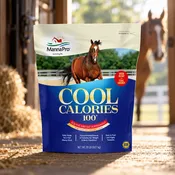 Cool Calories 100