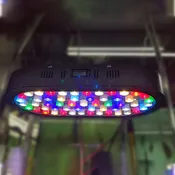 18 Inch Full Spectrum Planted Tank LED system With Timer