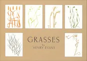 EBG12 Grasses Assortment Box
