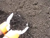 Aged Garden Compost