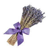 Dried Bouquet Of French Lavender