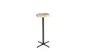 Bark Edge Petrified Wood Drinks Table