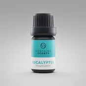 Eucalyptus oil [5ml]