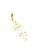 14k Solid Gold Alpha Gamma Rho Lavaliere