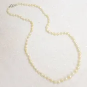 19" Graduated Strand of Creamy Cultured Pearls