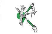Bypass Loppers — OurTools.org