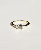 Bella Salt & Pepper Diamond Ring