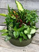 12″ Dish Garden in Tin Container