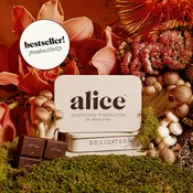 Alice Mushrooms x Brainstorm