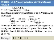 a1,3-GalNAc transferase (Pm1138)