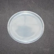 Fabri-Kal Unvented Lids Only