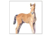 CP948 Gannett -Horse Coaster Pack