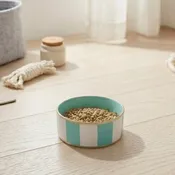 Block Stripe Enameled Pet Bowl
