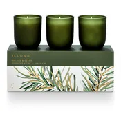 Balsam & Cedar Candle Trio Gift Set
