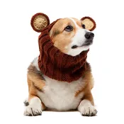 Grizzly Bear Zoo Snood